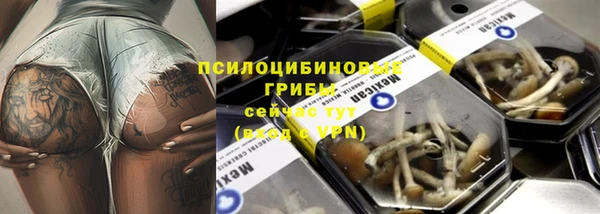 метадон Богородицк