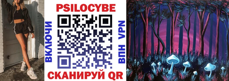 kraken ТОР Валуйки Псилоцибиновые грибы Cubensis