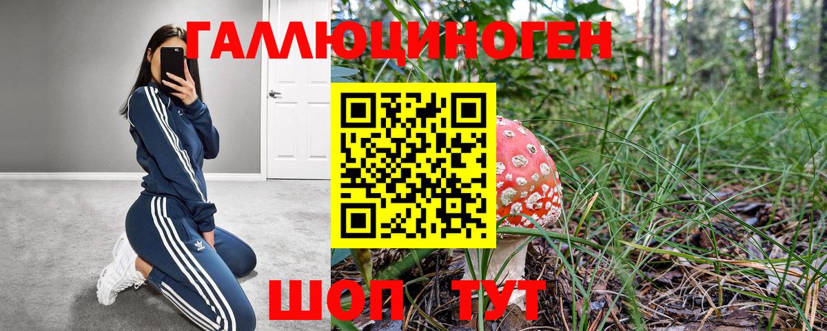 Псилоцибиновые грибы прущие грибы Валуйки