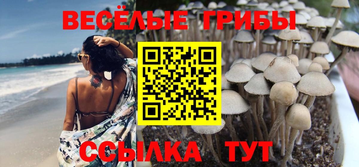 Валуйки  Галлюциногенные грибы мицелий  Вход с VPN  Галлюциногенные грибы мицелий 